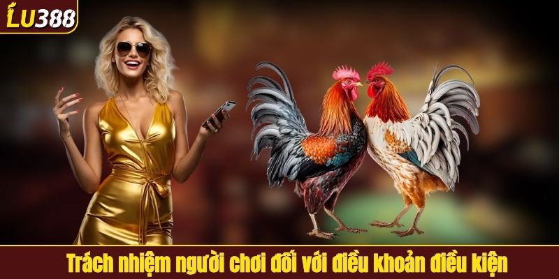 3 bước tham gia cá cược đá gà LU388
