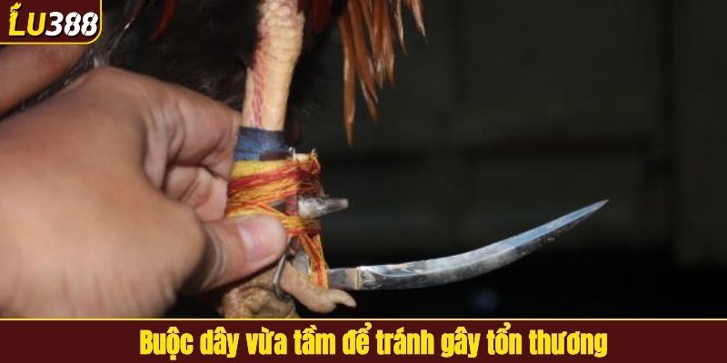 Buộc dây vừa tầm để tránh gây tổn thương