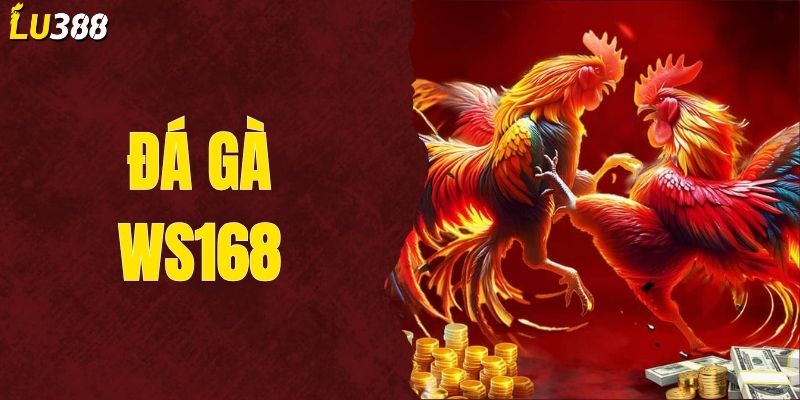Đá Gà Ws168 Và Hướng Dẫn Tham Gia Đặt Cược Nhanh Chóng
