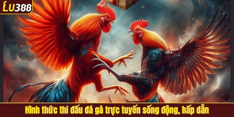 Hình thức thi đấu đá gà trực tuyến sống động, hấp dẫn