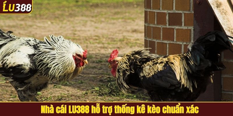 Nhà cái LU388 hỗ trợ thống kê kèo chuẩn xác