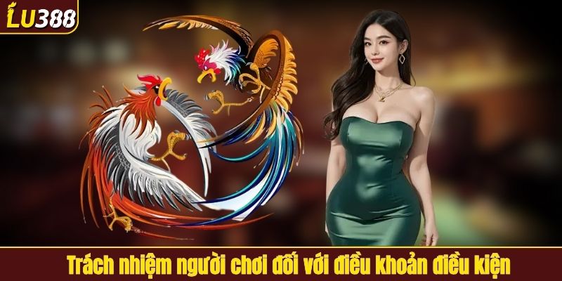 Những ưu điểm cực nổi bật của sảnh đá gà