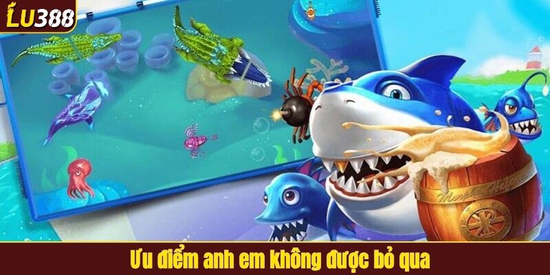 Ưu điểm anh em không được bỏ qua